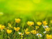 20 �������� ����� ��������� �� ��� ����������