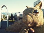 ������ �� �������� ��������: �������� ������ ����������� ���-�������