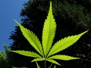 ������� ����� ������ �������������� � ����������