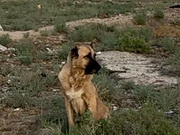 ���������� ������: ������ ������ ����� ������ � �����