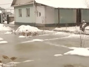 ������� ���� ������ ��� ���� � ����������� �������