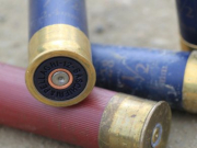 �������� �� �������� ������� �������� � ���� ���