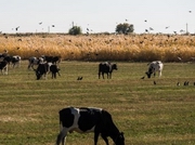 ������ �������� ������ ������������� ����� ����������� �������