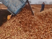 ����� ���� �������� � ����� � �������-������������� �������