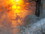 ����� ��������� � ����������