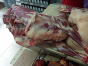 ������������� ������������� ������� ���� ��� ������������� ������������ �� ��������������