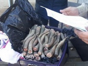 ������������ � ������ �������� �� 200 ��������� ����� ��������� ������������