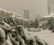 ���������� ������ ����������� �� ���������