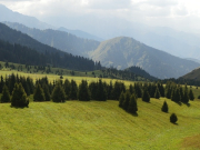 ������ ������: ������ ���-������ ����� ��������