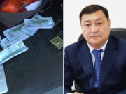 ������ � ��������� ����������� ���� ���-����� ������������ - �����������