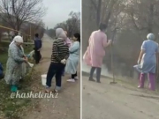 ������� ����������� ����������� � �������� ���������� �������