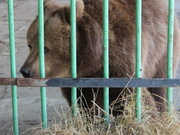 �� ������������ ������� ����� ��������� ����. 15 ��� ����� ��� ���������� ������