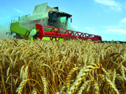 ����� - ����������