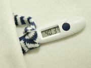 �������� ���� �� ������ �������� �������� �� ��������������� ��������