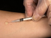 ������ ���������� � ����� ����� ����������� � ����������