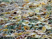 ��������� ������ �� �� ����������