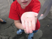 ������ ���� ���������� � ������������: �� ������� ��������� �����-�����������