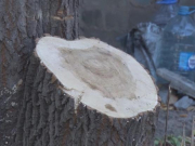 ��������� ���������� ������� �������� ���������� ��������