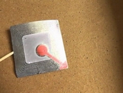 ������������� ���� ����� ������ ������ � ������