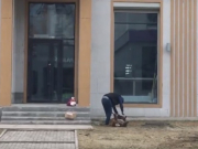 ���������� ������ � ������ ���-������� �������� ��������