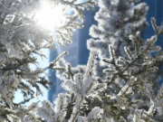 ������������ ������ ��������� � ���������� � ��������� ���