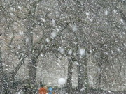 ������ � ������� ��������� � ����������