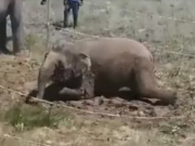 ����� ������ �� ������ ���������-������