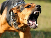 ���������� ������� ������� ���������� ���������� � ��������