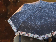 ����������� �� ����� 10 ��������� � ����������