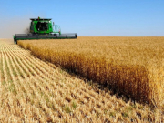 ����� ��������: ���������� ��������� ������������� ������������ ��������� �������