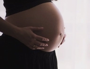 ���������� ����� �������� �������� ������� � ���