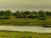 ������� �������� � ���� �� ������� � ���-�������. �� ��������� ������