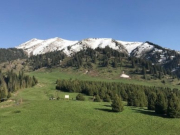 ����������������� ������ ���������������� �������� ����-������