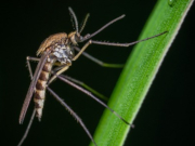 ����������� � �������� �� ������� ��������� � ���-�������