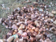 ������� ����������: ���� ���������� ������� ����� ��� ������ ������ ����