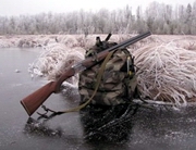 ����������� ��������� ����������� �� ����������� ���������� � ���