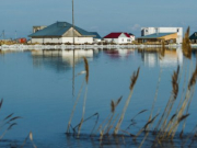 ��������� ������ ����. ������ ����� �������� �������� � ��������� � ����������