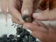 ���������� �������� ����� �� ����� �����������