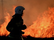 ��������, ���� � ���� ����� �� ������ ����������