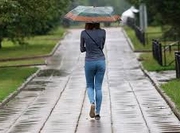 � ���������� ����������� �������� ����