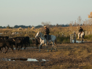 ���������� ������ � ������ ����� ���� � ����������� �������