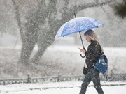 ������� ���������� �������� ���������� ������������ � ������ ������