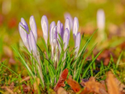 �� ������ ���������� ��������� �� 15 ��������