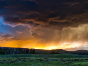 � ���������� ��������� ����� � �������