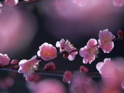 ��� ����������� ���������� 8 �����