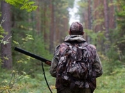 ��������� ����������� �������� � ����������� �������� ����� 