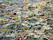 ����������� �� ����� 3 �������� ������������ � ����������