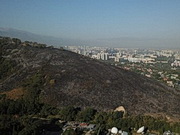 ��� �������� ���-���� ����� ������