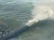 ���������, ��������� � ������� ������� ����, ����� �������