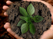 ��������������: �� ���� �������� ����� ����������� ������